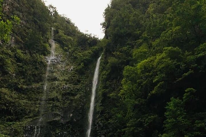 Levada do Caldeirão Verde Self-Guided Hike — Madeira's Laurissilva Waterfall Walk photo 4