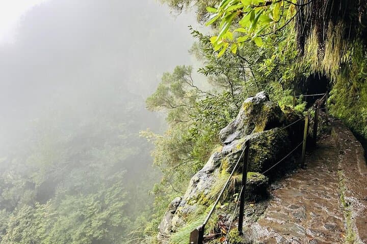 Levada do Caldeirão Verde Self-Guided Hike — Madeira's Laurissilva Waterfall Walk photo 5