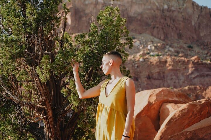 Sandia Mountains Flower Essence Workshop: Make Energetic Plant Remedies Near Albuquerque photo 1