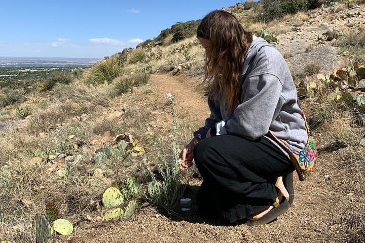 Sandia Mountains Flower Essence Workshop: Make Energetic Plant Remedies Near Albuquerque photo 3