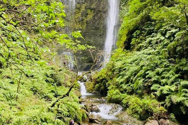 Levada do Caldeirão Verde Self-Guided Hike — Madeira's Laurissilva Waterfall Walk photo 6