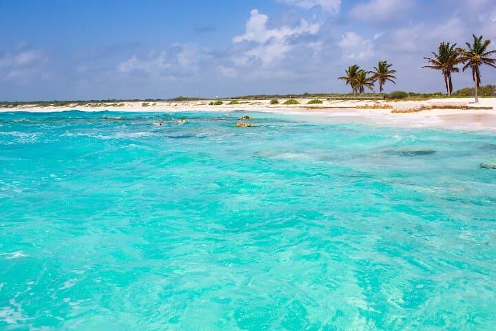 Snorkel El Cielito & Palancar: Cozumel Boat Tour to Colombia Reef photo 3