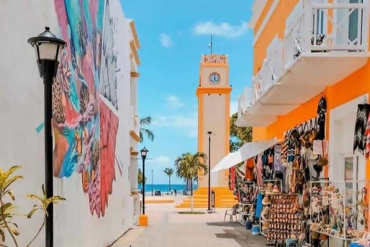 Snorkel El Cielito & Palancar: Cozumel Boat Tour to Colombia Reef photo 4