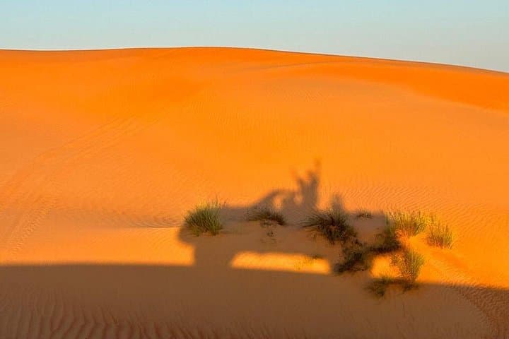 Muscat Day Trip: Wahiba Sands & Wadi Bani Khalid Desert Adventure photo 3