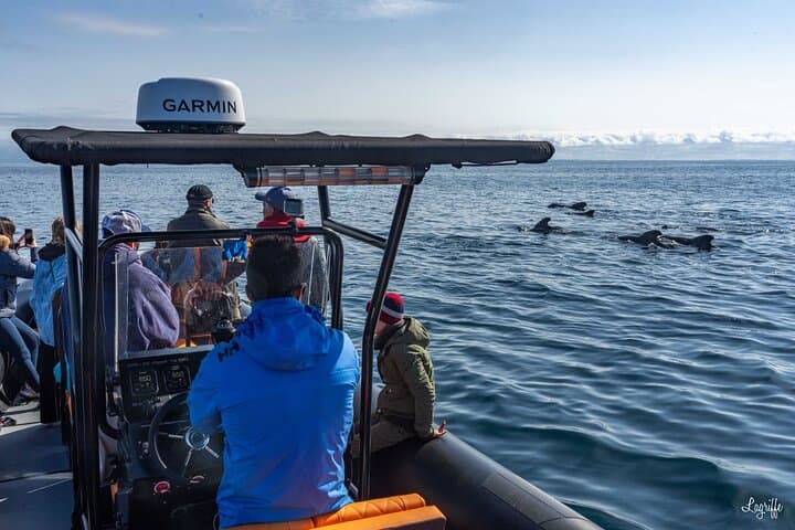 Cetacean Boat Tours off Saint-Jean-de-Luz — Gouf de Capbreton Whale & Dolphin Watching photo 2