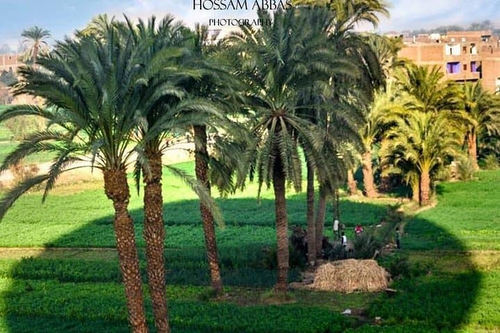 Abu Simbel & Aswan Overnight from Luxor: Philae, Nubian Village and Abu Simbel Temples photo 5
