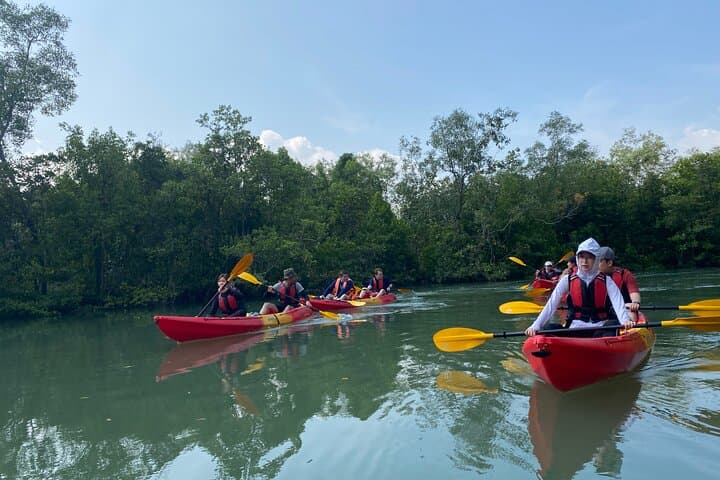 Crossing Pulau Ubin: A 7km Kayak and SUP Eco-Expedition photo 3