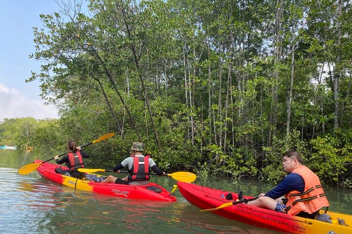 Crossing Pulau Ubin: A 7km Kayak and SUP Eco-Expedition photo 4