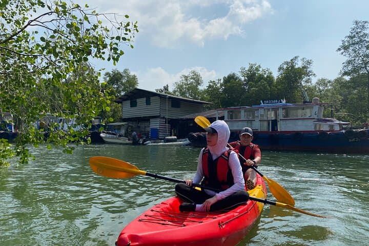 Crossing Pulau Ubin: A 7km Kayak and SUP Eco-Expedition photo 5