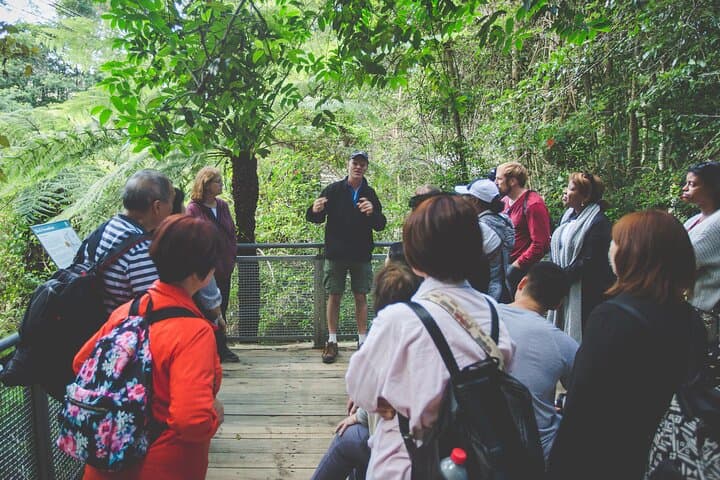 Blue Mountains Day Tour: Scenic World, Wildlife and Short Bushwalks from Sydney photo 3