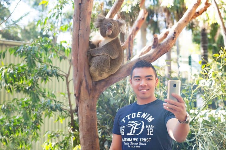 Blue Mountains Day Tour: Scenic World, Wildlife and Short Bushwalks from Sydney photo 5