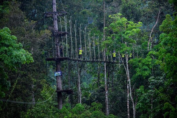 Soar Above Kong Forest: Nha Trang Zipline Canopy Adventure photo 2