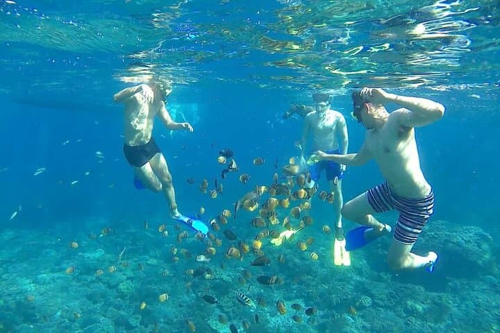 Nusa Penida West Tour: Snorkel Manta Rays, Kelingking & Broken Beach photo 2
