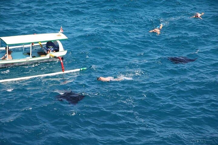 Nusa Penida West Tour: Snorkel Manta Rays, Kelingking & Broken Beach photo 3