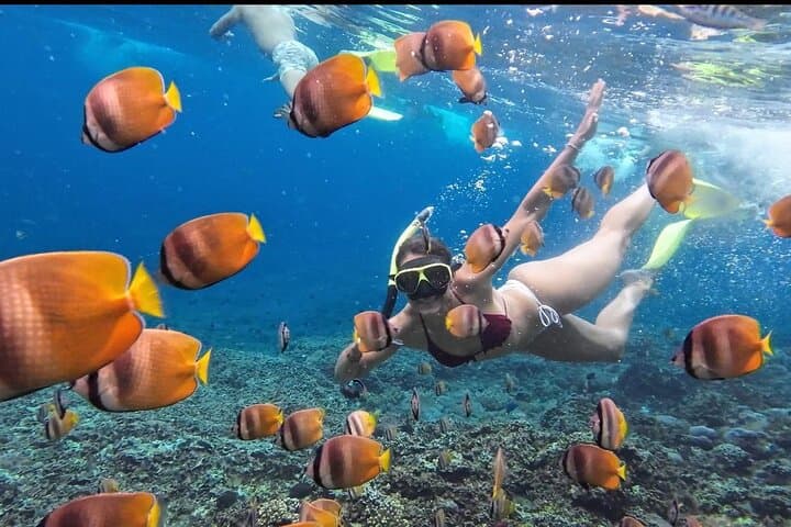 Nusa Penida West Tour: Snorkel Manta Rays, Kelingking & Broken Beach photo 4