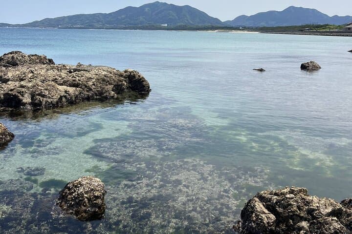 Munakata Coastline E‑Bike Tour: Sushi, Sake & Miyajidake Shrine