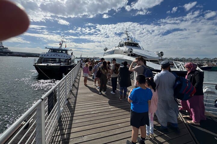 Robben Island Half-Day Tour — Skip-the-Line Ferry and Museum Experience from Cape Town