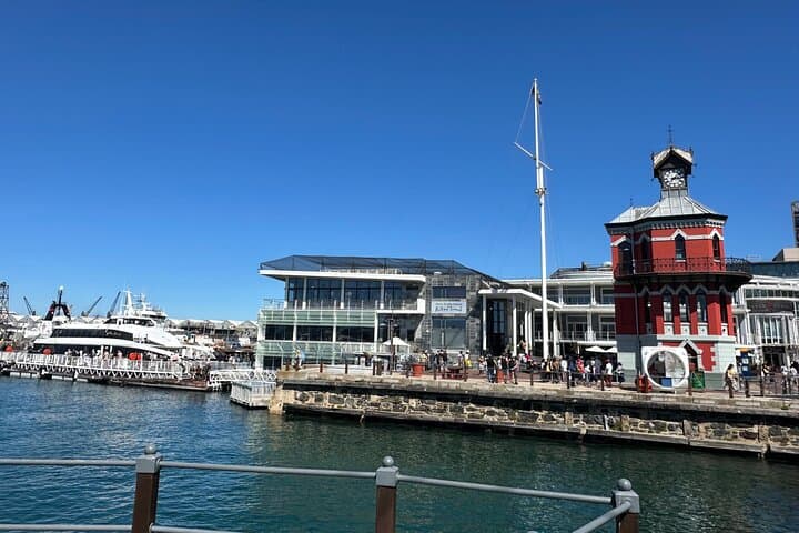 Robben Island Half-Day Tour — Skip-the-Line Ferry and Museum Experience from Cape Town photo 2