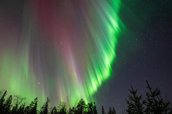 Rovaniemi Northern Lights Photography Tour — Small-Group Minivan Aurora Hunt photo 6