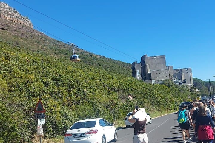Half-Day Table Mountain, Signal Hill & Bo-Kaap Tour — Cape Town Highlights photo 6