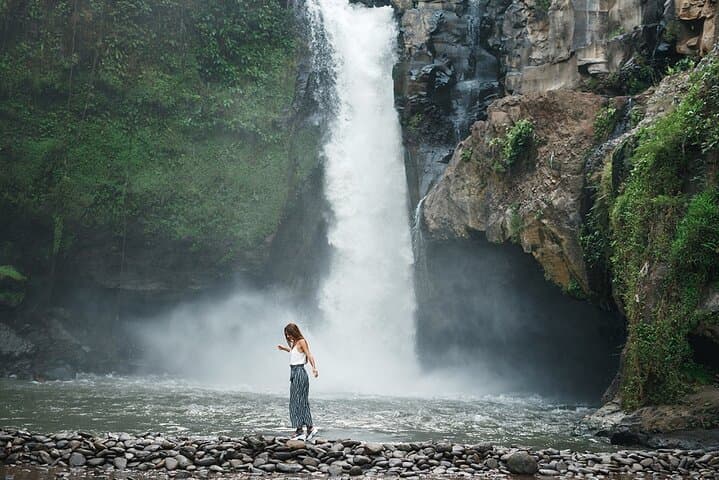 Ubud Private Waterfalls and Tirta Empul Temple Tour — Tegalalang & Tegenungan Day Trip photo 3
