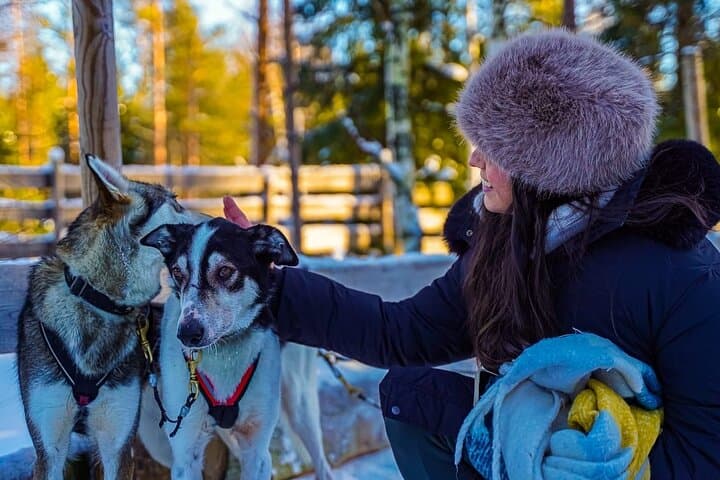 Arctic Husky Adventure: Self-Drive Dog Sled Safari Near Rovaniemi photo 2