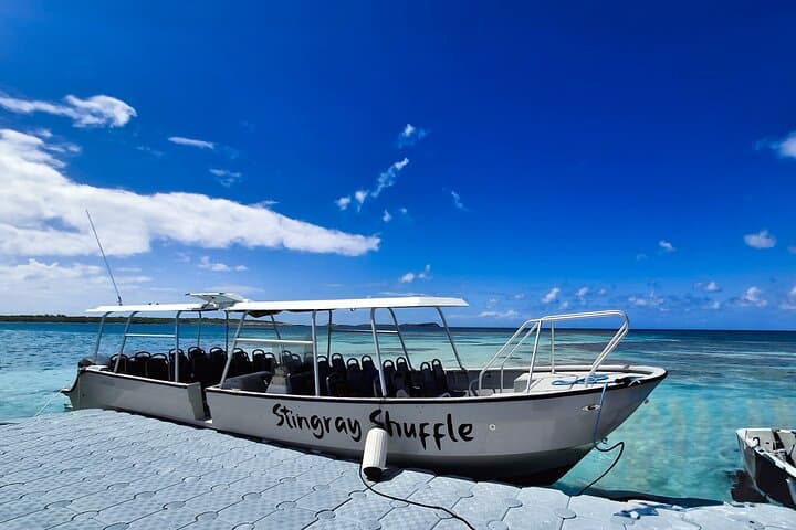 Antigua Stingray City Tour: Devil's Bridge, Long Bay & Betty's Hope photo 5