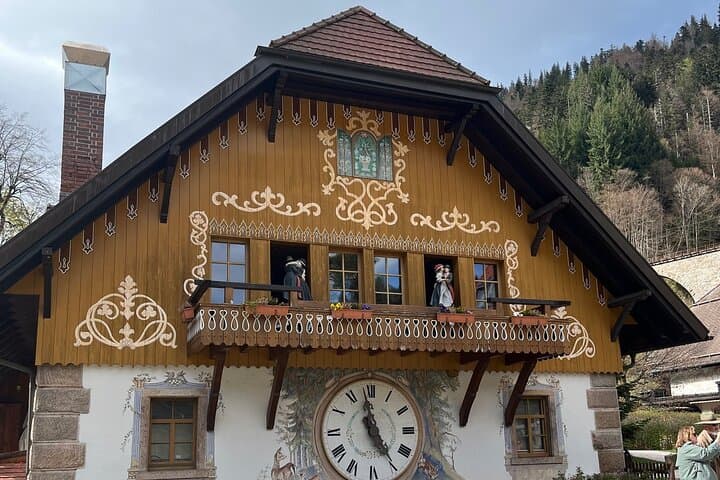 Private Black Forest Day Tour from Basel — Feldberg, Titisee & Todtnau Suspension Bridge