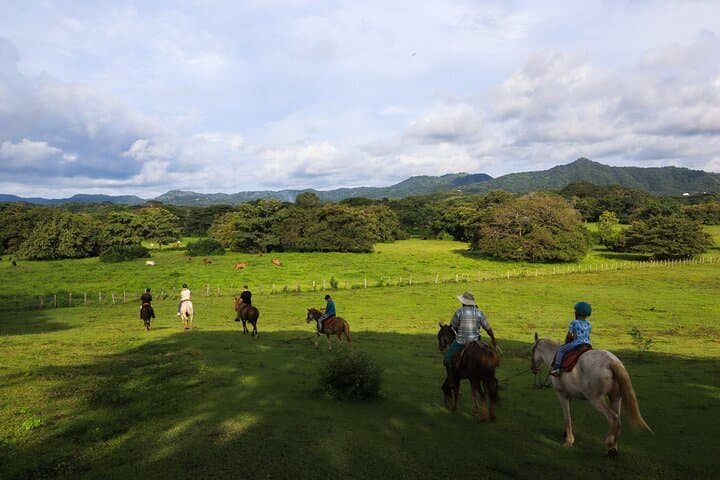 Half-Day Guanacaste Horseback & Farm Tour at Hacienda Pinilla