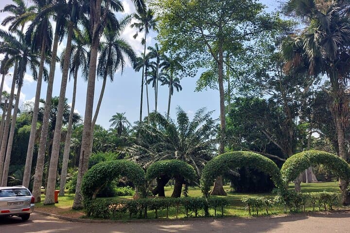 Aburi Botanical Gardens Tour — Scenic Plant Walk & Local Crafts from Accra photo 6
