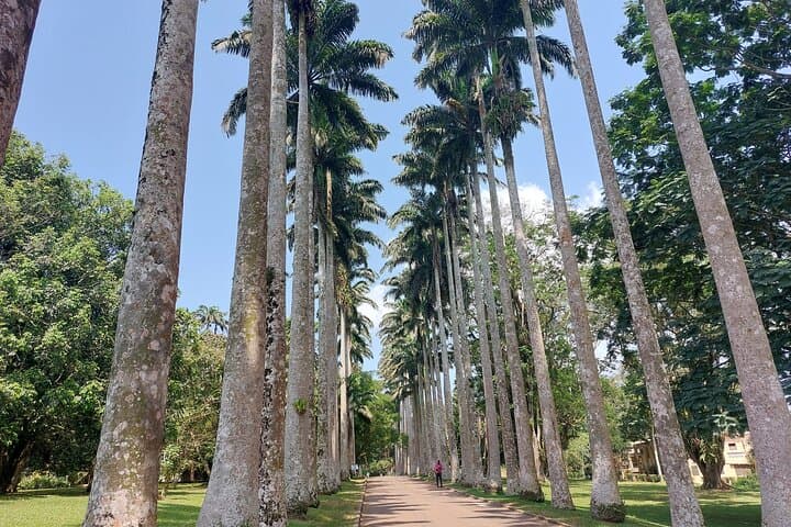 Aburi Botanical Gardens Tour — Scenic Plant Walk & Local Crafts from Accra photo 3