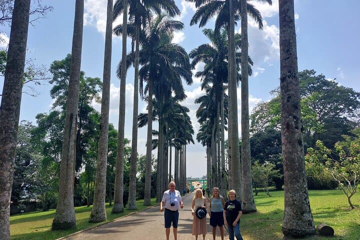 Aburi Botanical Gardens Tour — Scenic Plant Walk & Local Crafts from Accra
