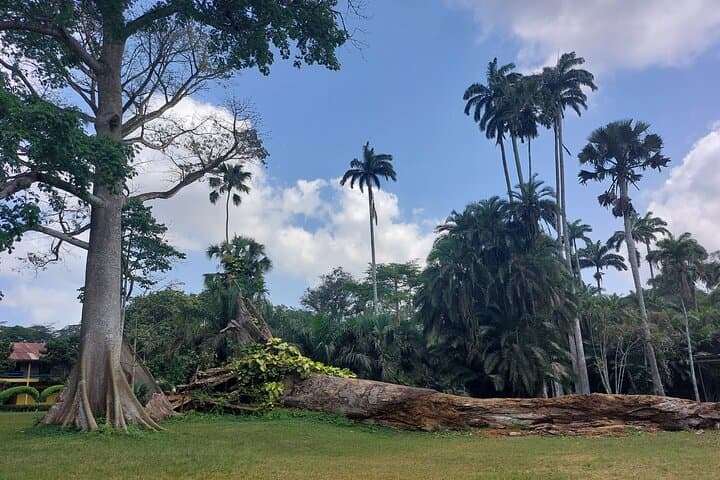 Aburi Botanical Gardens Tour — Scenic Plant Walk & Local Crafts from Accra photo 2