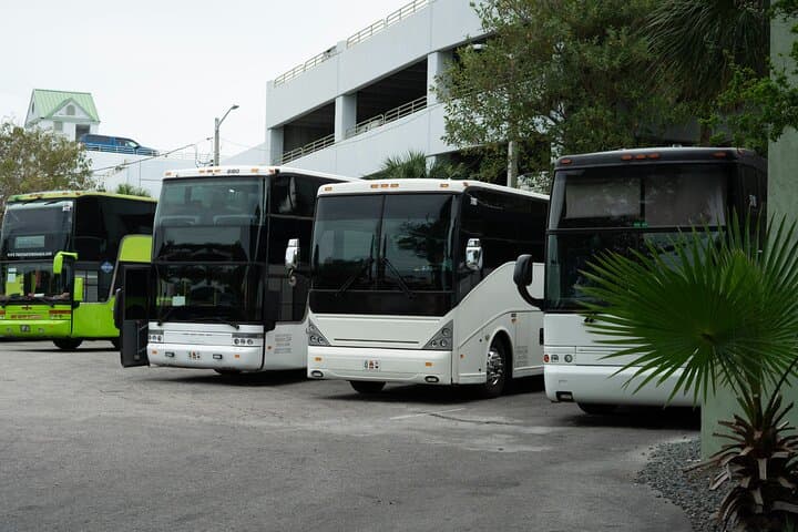 Miami to Key West One-Day Bus Tour: Scenic Drive Along the Overseas Highway photo 6