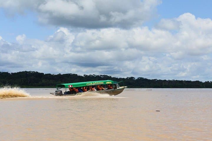 6-Day Amazon Wildlife & Camping at Curassow Lodge — Tamshiyacu-Tahuayo Reserve photo 4