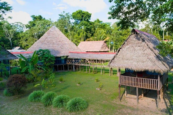 6-Day Amazon Wildlife & Camping at Curassow Lodge — Tamshiyacu-Tahuayo Reserve photo 2