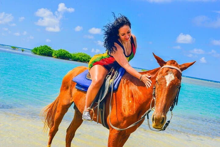 Montego Bay Beach Horseback Ride and Swim (with Transportation) photo 4