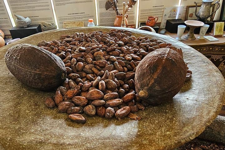 Roatan City Tour & West Bay Beach: Chocolate and Rum Tasting and Local Flavors photo 3