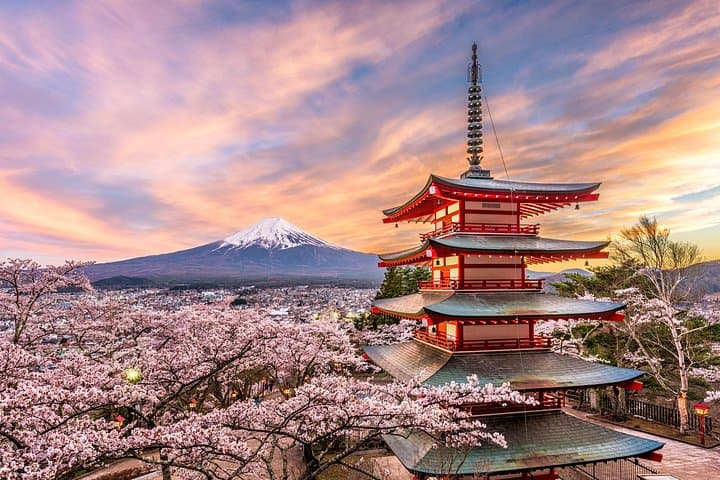 Private 1-Day Mount Fuji Tour from Tokyo: Kawaguchiko, 5th Station & Caves photo 1