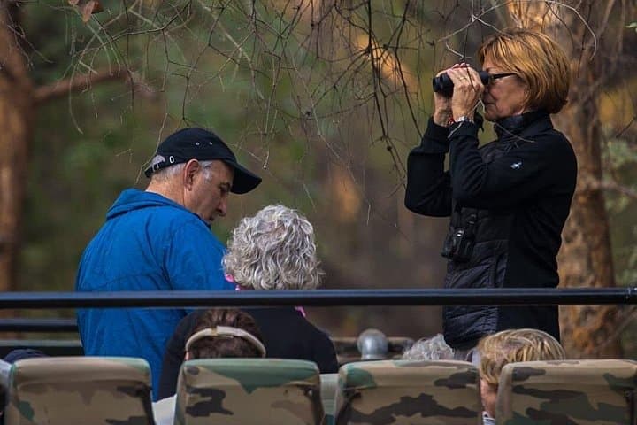Ranthambore Jeep Safari: How to Spot Tigers & Wildlife in Rajasthan photo 4