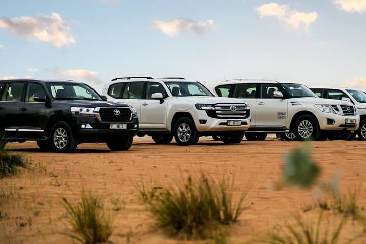 Dubai Morning Desert Safari: Dune Bashing, Camel Rides & Sandboarding photo 4