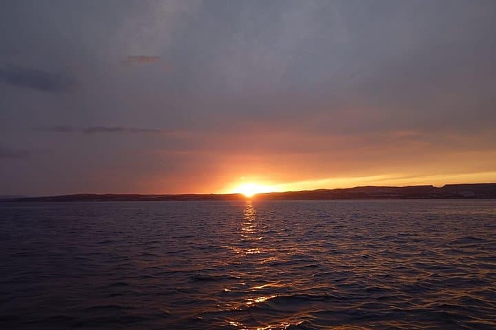 Dolphin-Watching Boat Tour from Puerto de la Duquesa — Manilva Coast Adventure photo 4