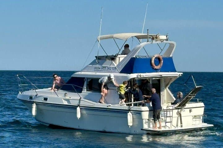 Dolphin-Watching Boat Tour from Puerto de la Duquesa — Manilva Coast Adventure photo 5