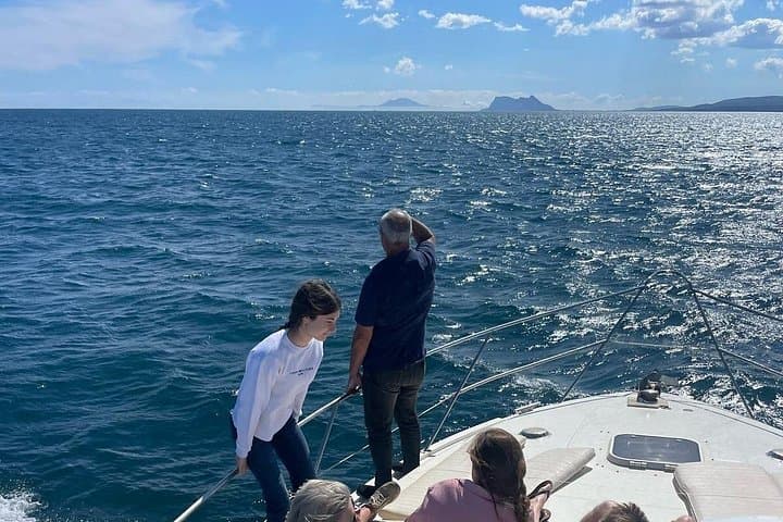 Dolphin-Watching Boat Tour from Puerto de la Duquesa — Manilva Coast Adventure photo 6