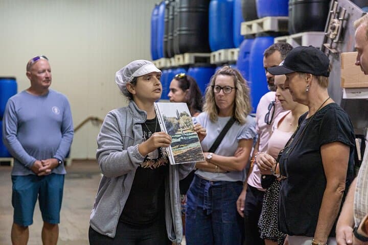 Tavira Olive Experience: Factory Tour and Tasting in the Algarve photo 3