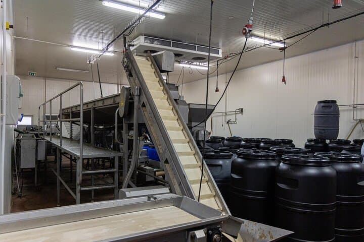 Tavira Olive Experience: Factory Tour and Tasting in the Algarve photo 4