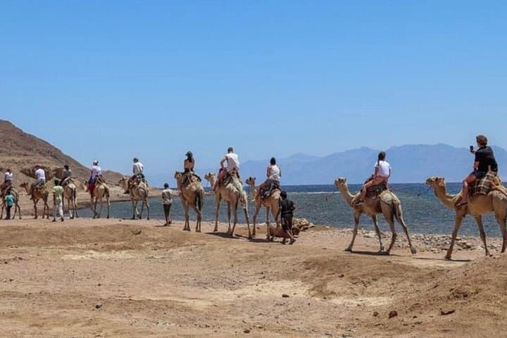Blue Hole Dahab Day Trip from Sharm El-Sheikh: Snorkel, Camel Ride & Colored Canyon