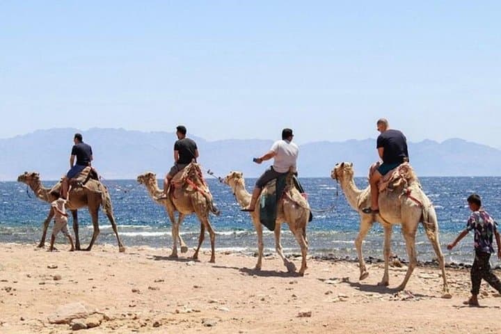 Blue Hole Dahab Day Trip from Sharm El-Sheikh: Snorkel, Camel Ride & Colored Canyon photo 5