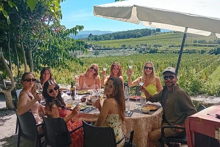 Douro Valley Wine Tasting, Boat Cruise & Lunch from Porto