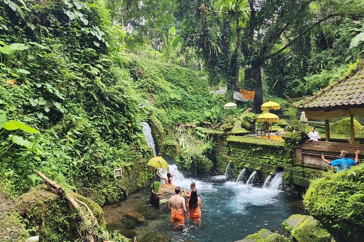 Ubud Healing and Giant Swing Day: Purification Rituals and Rice-Terrace Views
